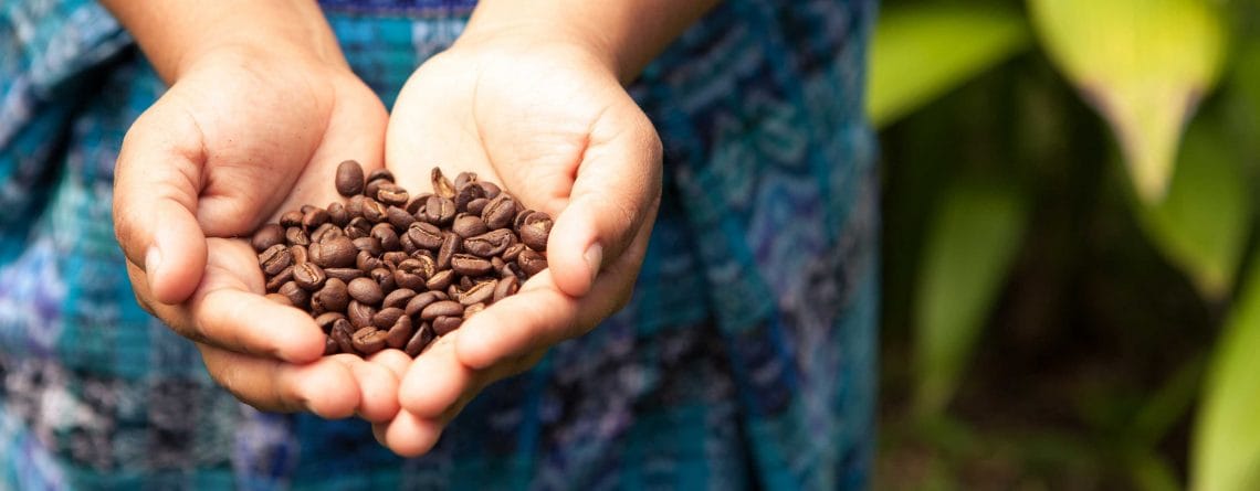 Hoe worden koffiebonen cafeïnevrij gemaakt