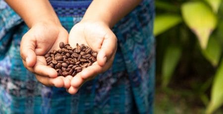 Hoe worden koffiebonen cafeïnevrij gemaakt