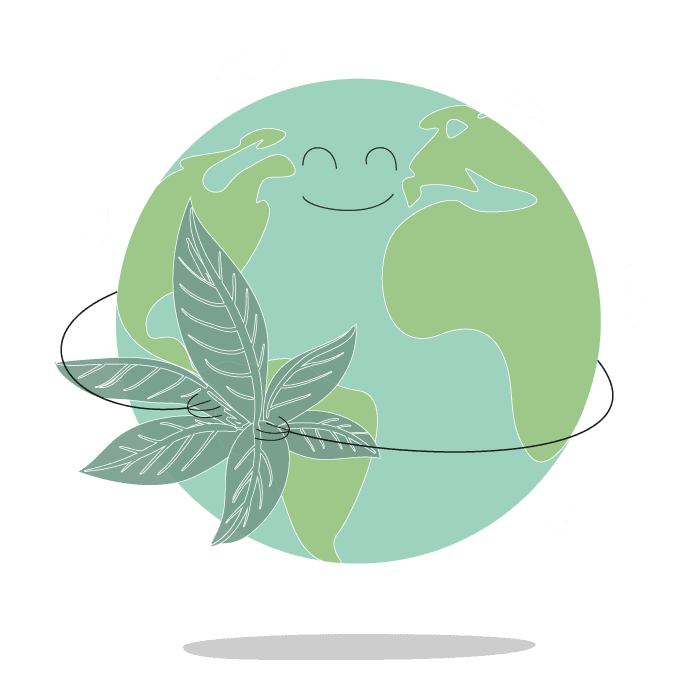 Duurzame cafeinevrije koffie Duurzame cafeinevrije koffie