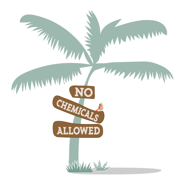 Cafeinevrije koffie chemisch-vrij Cafeinevrije koffie chemisch-vrij