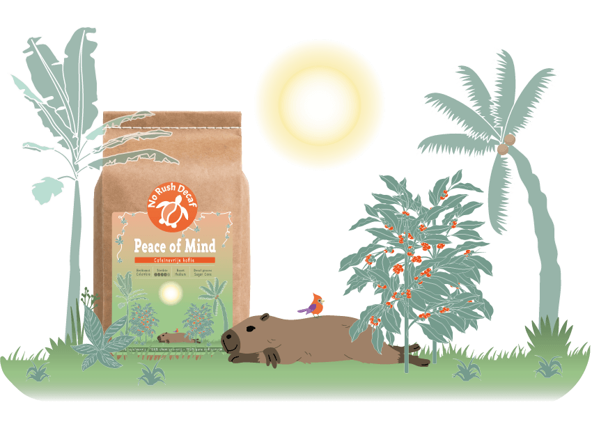 Peace of Mind Illustratie - No Rush Decaf Peace of Mind Illustratie - No Rush Decaf